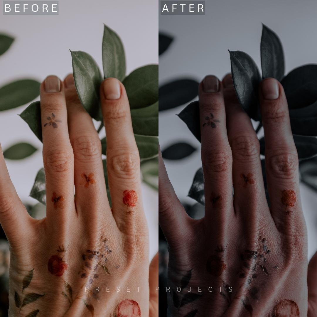 Fiction Lightroom Presets (Mobile and Desktop) - Image 7