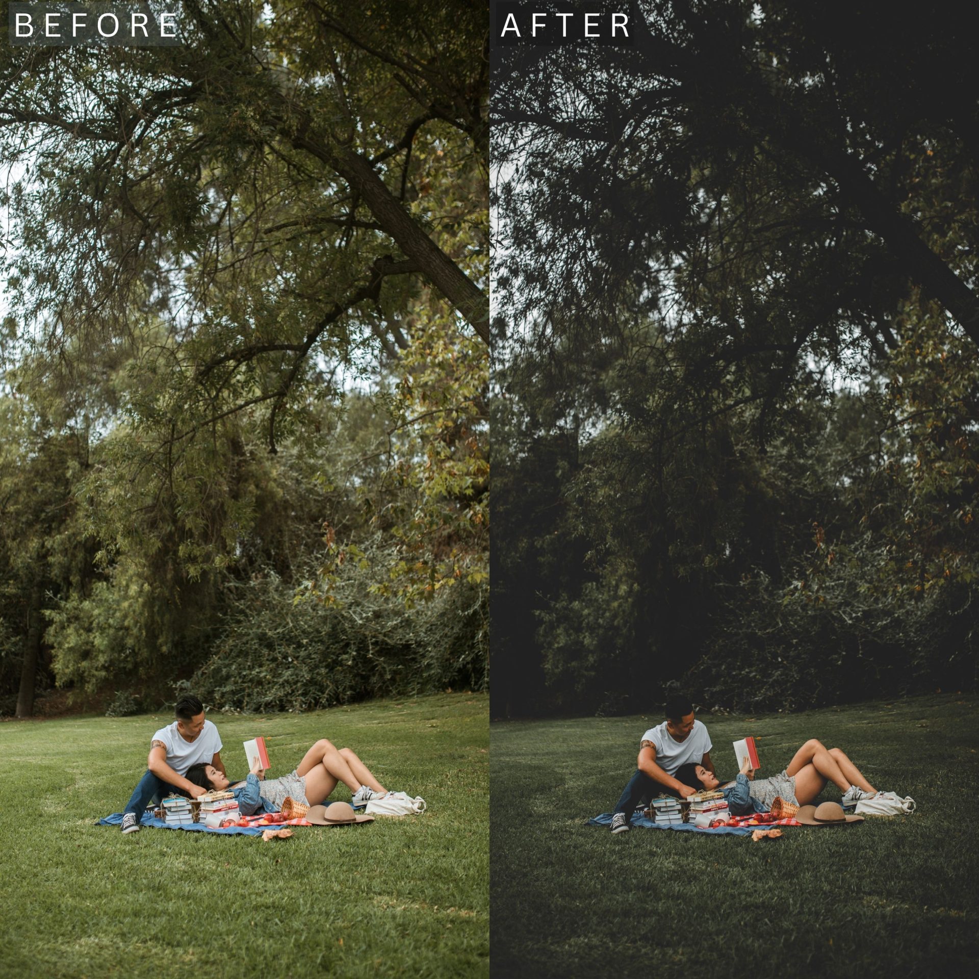 Moody Green Lightroom Presets - Image 4