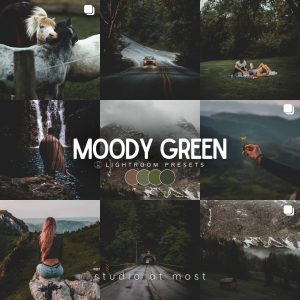 Moody Green Lightroom Presets