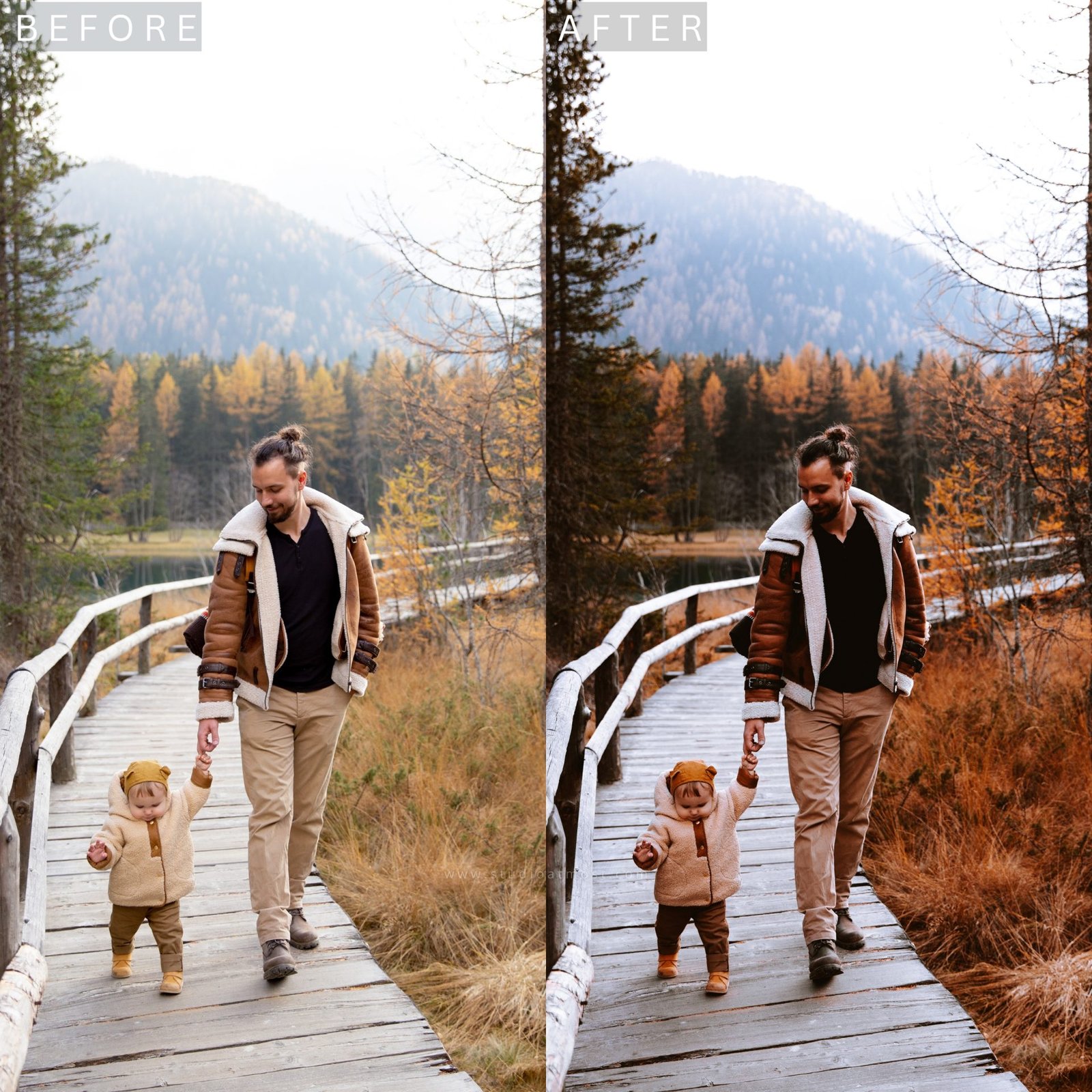 sam moody fall 2.jpg sam moody fall 2.jpg