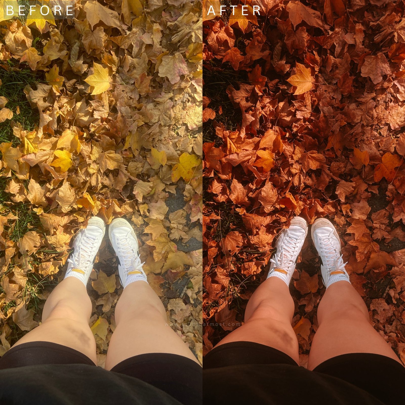 sam moody fall 4.jpg sam moody fall 4.jpg