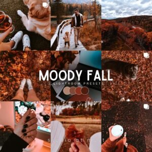 sam moody fall cover.jpg