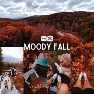 sam moody fall luts.jpg