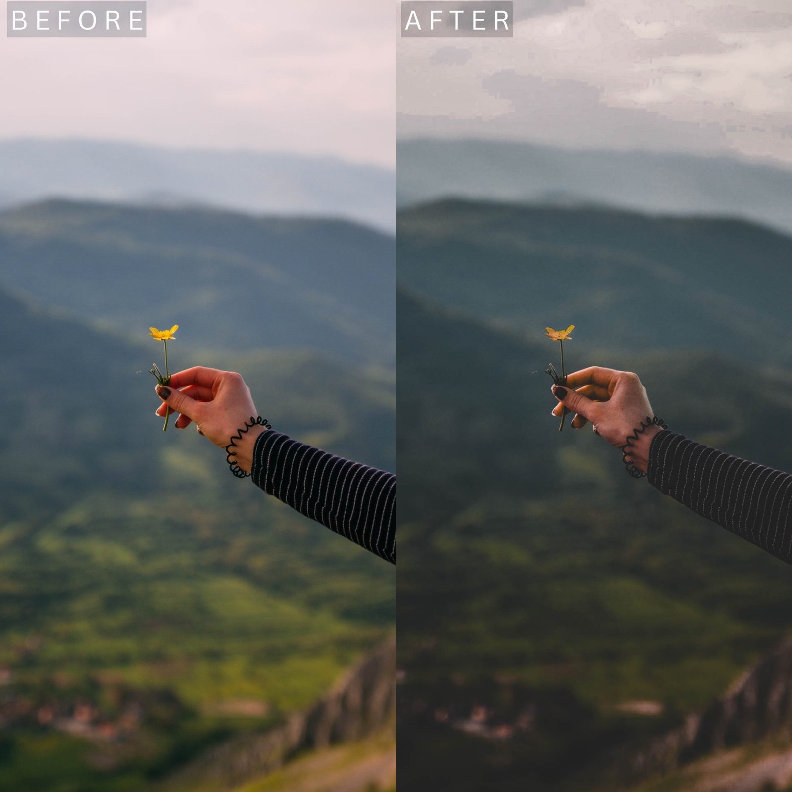 moody green 6.jpg moody green 6.jpg