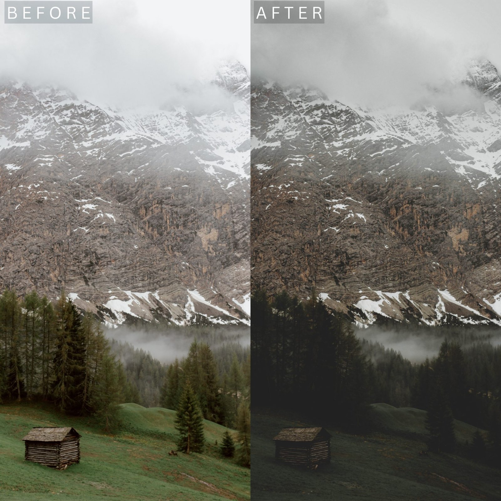 moody green 7.jpg moody green 7.jpg