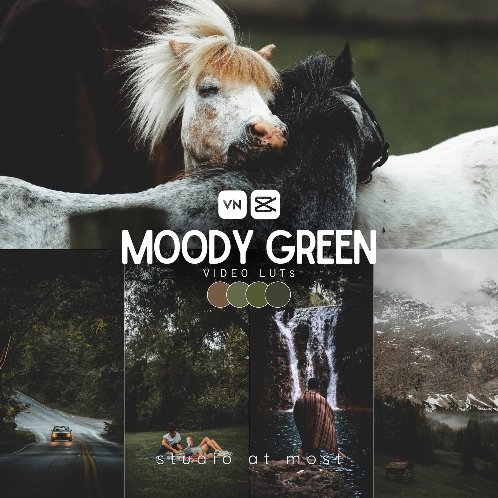 moody green luts cover.jpg moody green luts cover.jpg